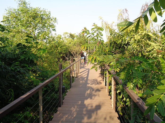 都会の中の小さな森、バンコク「METRO FOREST」