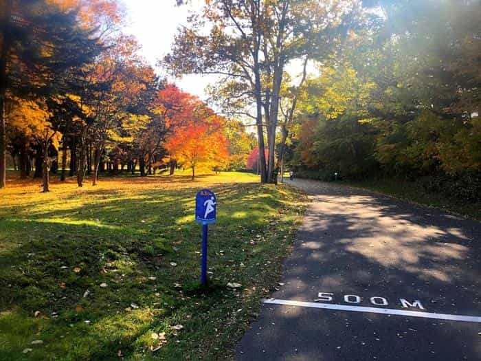 北海道立真駒内公園の紅葉ランで絶景を堪能しました