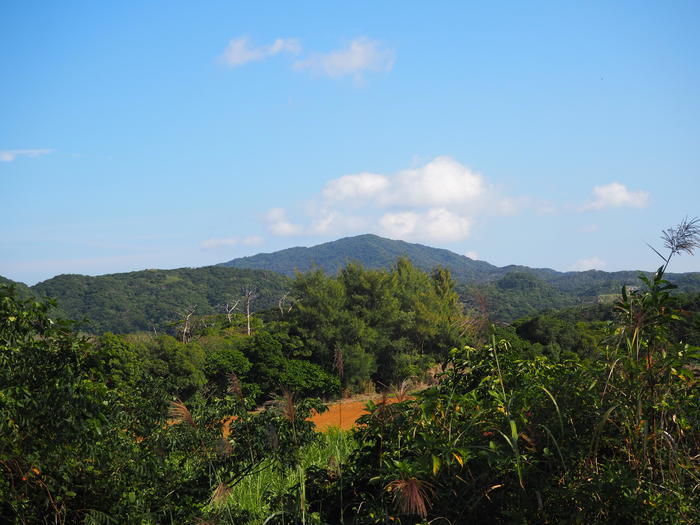 きゅううがめ～ら！徳之島伊仙町との出会いにありがとう！