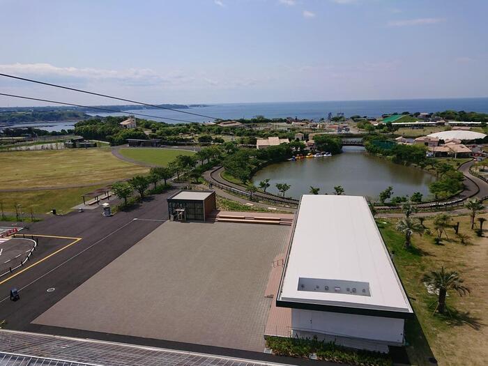 海・花・空の絶景！ 横須賀西海岸ソレイユの丘に行ってきた