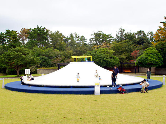 国営ひたち海浜公園の完全ガイド～ネモフィラ・コキア以外の魅力もたっぷり紹介～