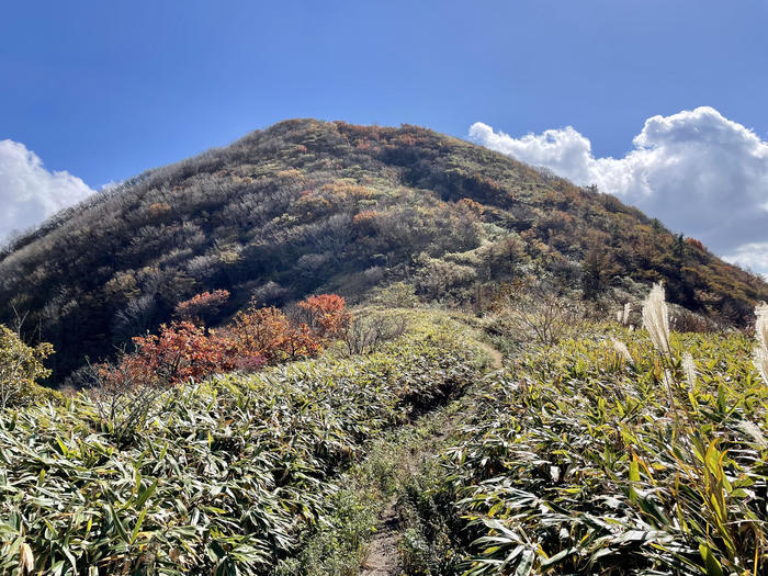 【島根】石見富士「三瓶山」のカルデラを大縦走！