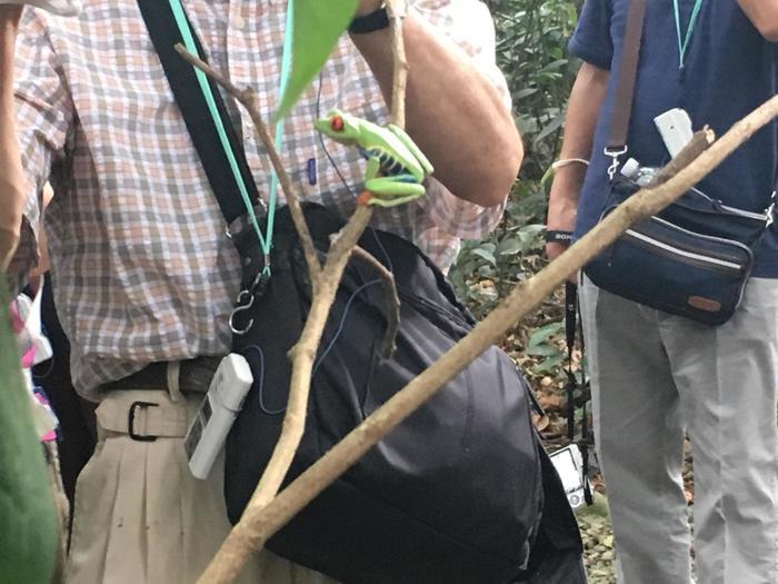 生物の楽園コスタリカとガラパゴスへ行ってきました！