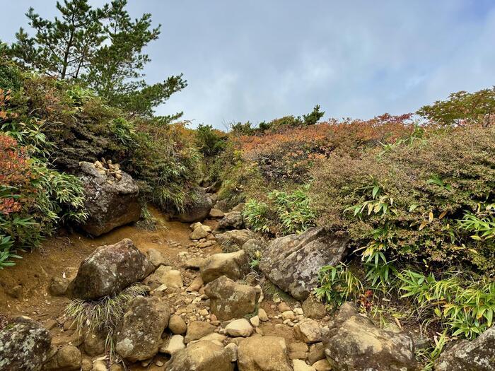 【日本百名山】20座目は紅葉の絨毯を見に安達太良山へ（福島県）