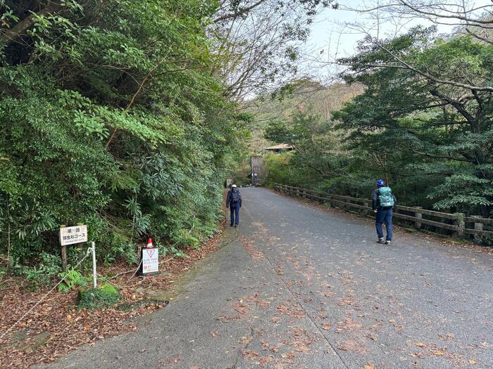 【鹿児島】屋久島の白谷雲水峡に行かれる方へ注意（2024年11月現在）