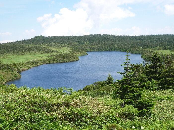 【岩手】広大な湿原に咲く高山植物を気軽に見に行ける！八幡平で涼しい空気に包まれながらトレッキング