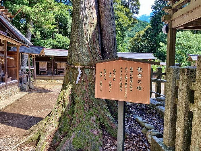 ここが伊勢神宮のルーツ！？京都にある「元伊勢三社」をめぐろう