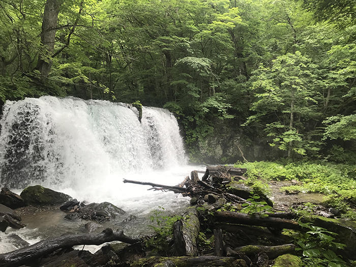 初めての東北ぐるり旅！＜秋田県、青森県、岩手県、宮城県＞