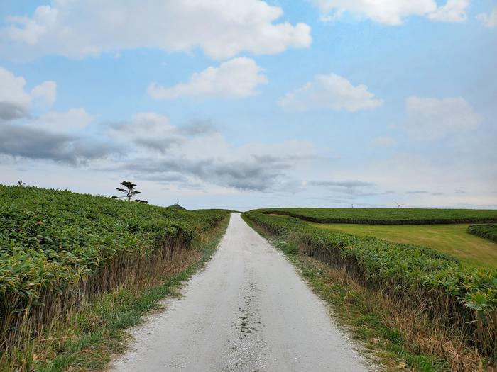 北海道・稚内の「白い道」は絶景が美しすぎる!