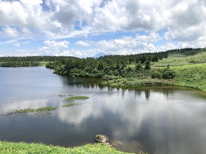 【岩手】広大な湿原に咲く高山植物を気軽に見に行ける！八幡平で涼しい空気に包まれながらトレッキング