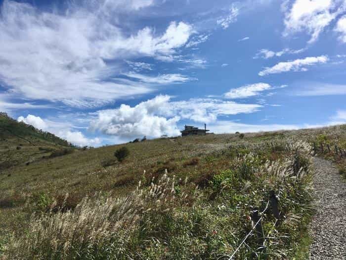 この絶景はどこ？ニュージーランド？北欧？いえいえ群馬県の「野反湖」です。