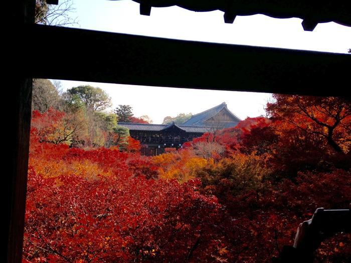 京都　東福寺の紅葉は、やはり圧倒的に美しかった。