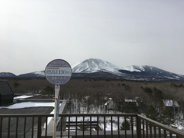 自然の絶景パノラマ！冬を感じる長野と群馬の旅