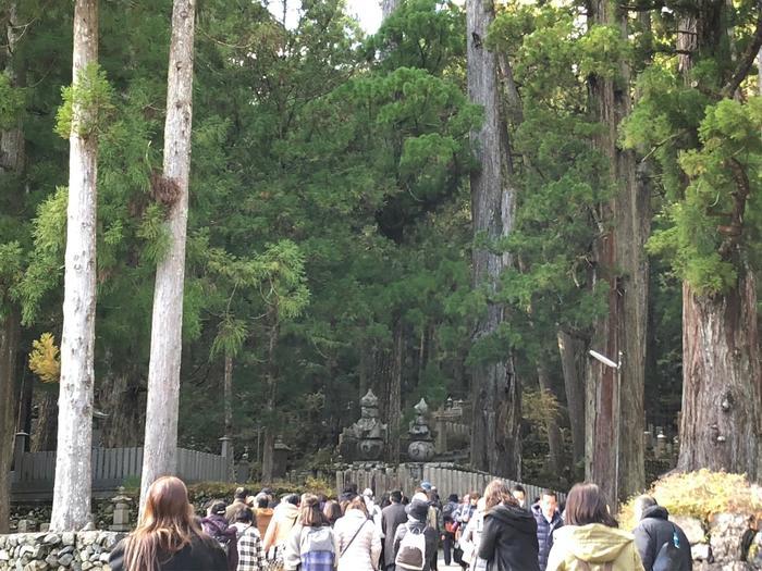 【パワースポット】高野山「奥之院」で心癒される日帰り旅！