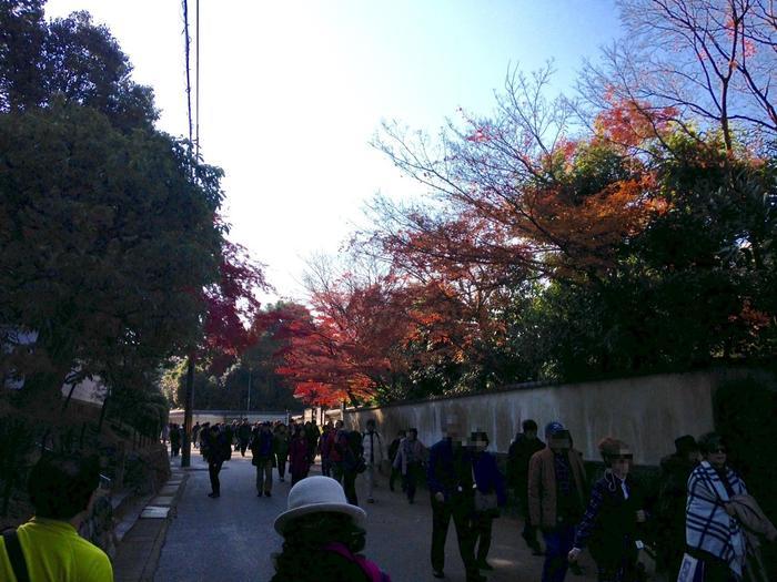 京都　東福寺の紅葉は、やはり圧倒的に美しかった。