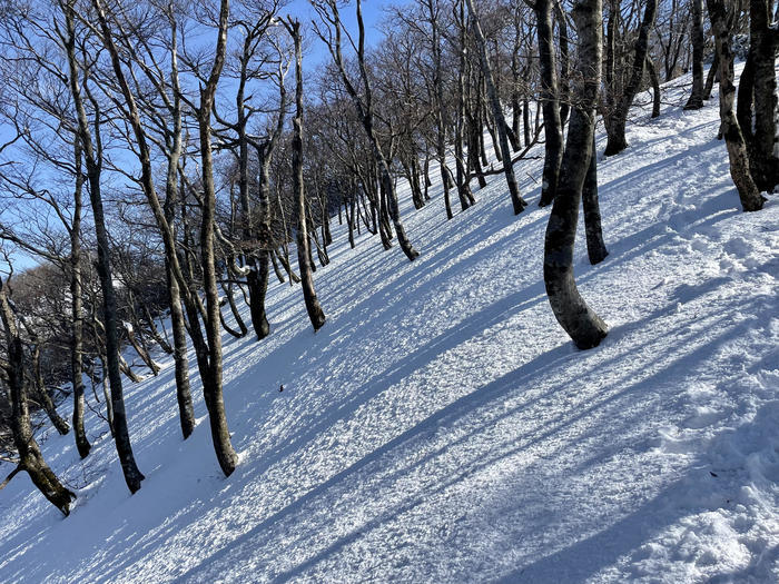 【滋賀】雪山入門編　眺望が素晴らしい綿向山