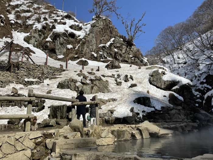 【長野】世界でここだけ！ニホンザルが温泉に入る地獄谷野猿公苑