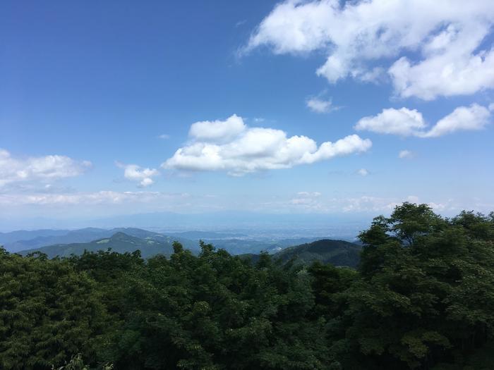 【奥武蔵で眺望の良い山】丸山・堂平山を縦走。最後に襲った悲劇とは・・・