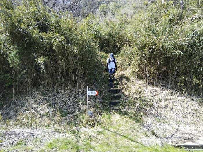 【お花見登山】桜満開のお伊勢山から岩殿山を縦走する日帰り山旅