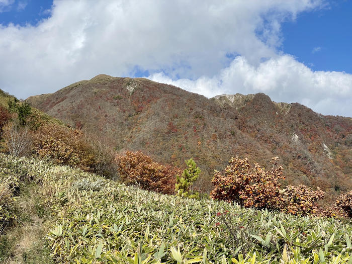 【島根】石見富士「三瓶山」のカルデラを大縦走！