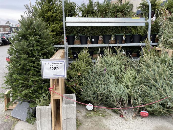 クリスマスシーズン到来！トロントでのクリスマスに向けての過ごし方