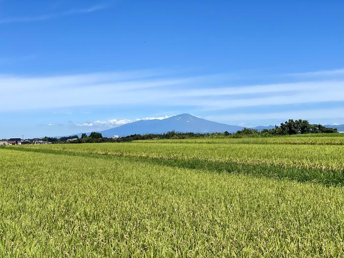 【秋田】鉾立展望台から見る鳥海山は超絶景！