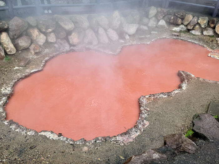 【大分】別府地獄めぐりの巡り方（地獄の紹介）