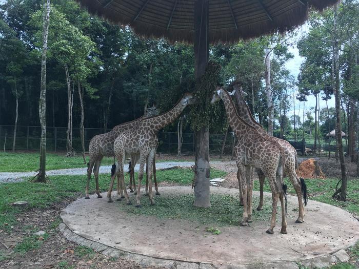 ベトナム最後の楽園フーコック島の行き方やホテル事情は？2泊4日の弾丸旅