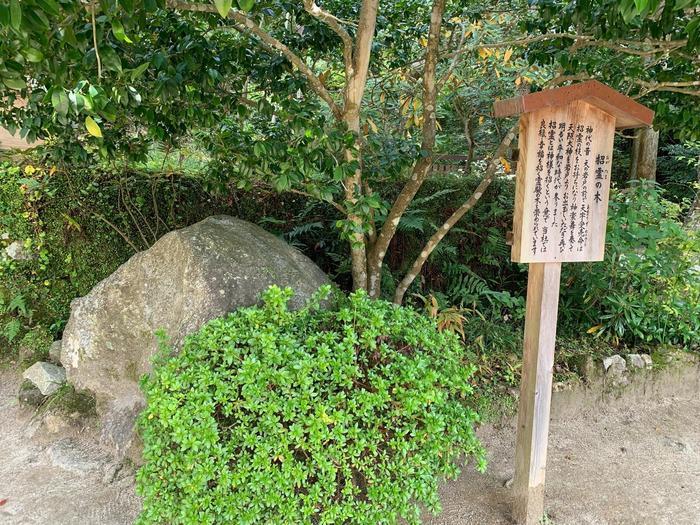 【竈門(かまど)神社】大ブーム中！『鬼滅の刃』福岡県ゆかりの地？へ