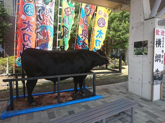 史跡と風景、伝説で知られるロマンチックな隠岐の島。その魅力とは？