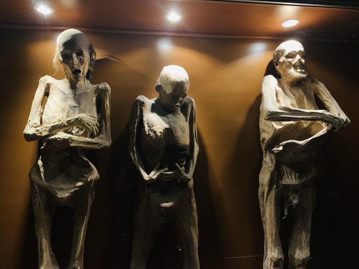 【メキシコ】グアナファトのミイラ博物館が私たちに教えてくれること