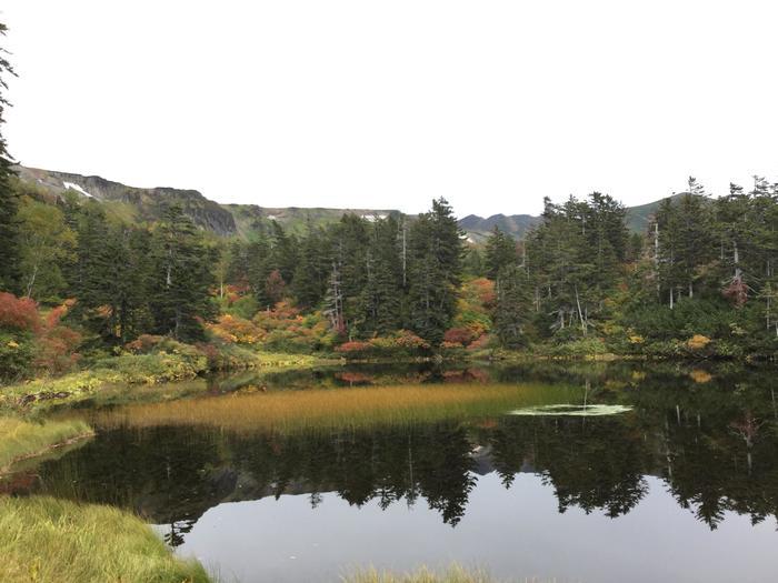 日本一早い紅葉！錦秋の北海道・大雪山ハイキング