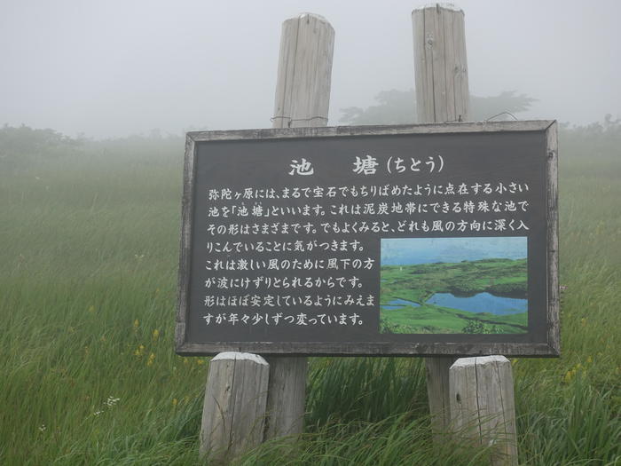 【山形】月山八合目・弥陀ヶ原湿原の歩き方