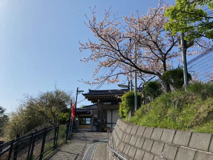 【鎌倉】大船観音寺へ行ってきました