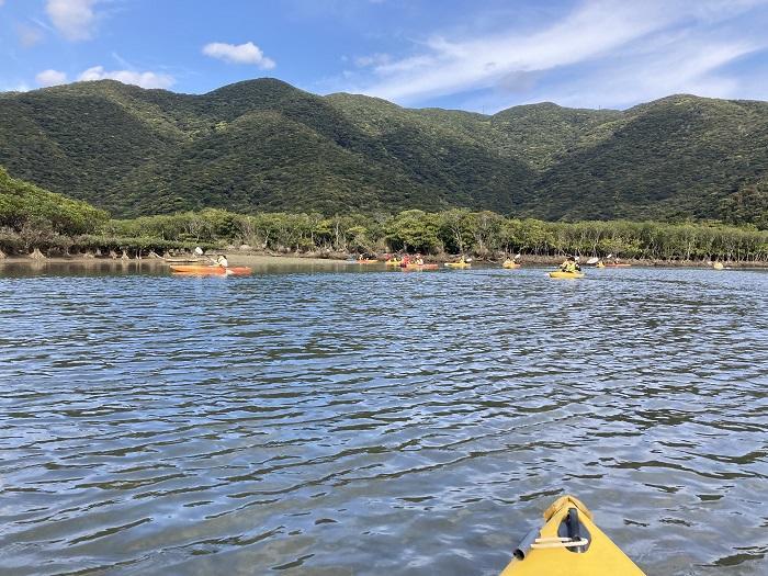 【奄美大島】マングローブ原生林をカヌーでゆく癒し度満点の旅