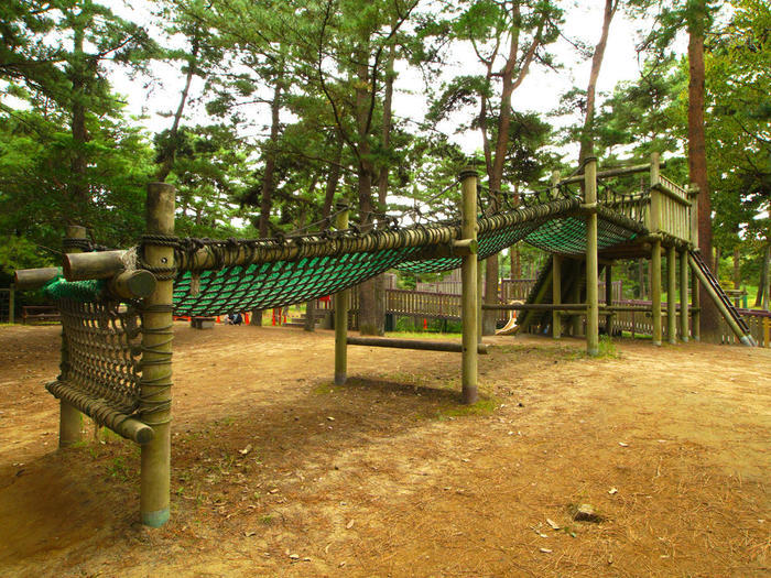 国営ひたち海浜公園の完全ガイド～ネモフィラ・コキア以外の魅力もたっぷり紹介～