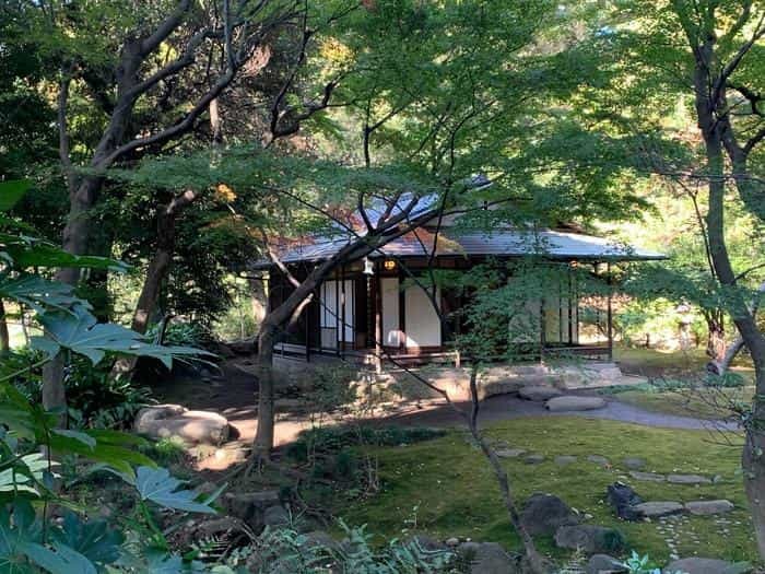 洋風と和風両方の庭園が楽しめる【旧古河庭園】秋バラ・紅葉もおすすめ！～東京さんぽ～