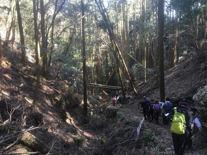 ～大阪を歩く～池田市から箕面市へ（五月山・六個山ウォーク）