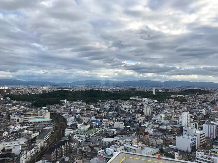 古墳ってどうやって楽しむの？ 百舌鳥古墳群レポート