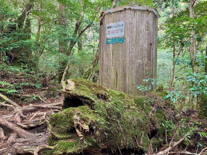 【鹿児島】ヤクスギランドは誰でも気軽に行ける自然植物園