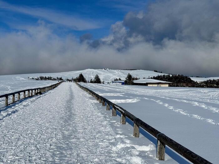 【日本百名山】15座目は美ヶ原（王ヶ頭）のパノラマコースを雪中ウォーキング（長野県）