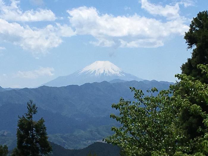 【山登り道】～低山には低山の魅力があるのです③～「奥高尾/陣馬山・景信山」