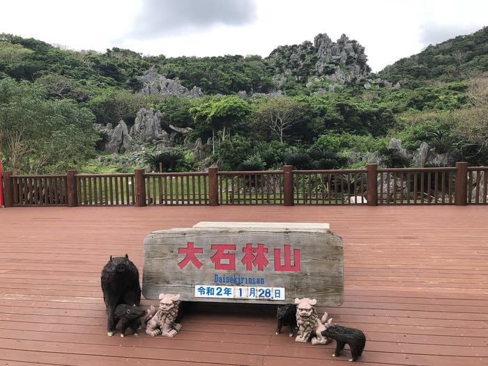 沖縄本島北部ヤンバルにある「大石林山」に行ってきました！奇岩や亜熱帯の森などの絶景を体感！