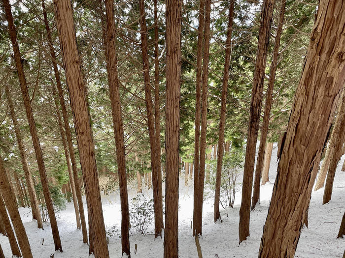 【滋賀】雪山入門編　眺望が素晴らしい綿向山