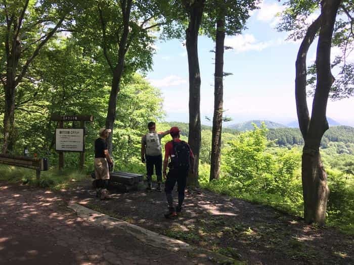 【奥武蔵で眺望の良い山】丸山・堂平山を縦走。最後に襲った悲劇とは・・・