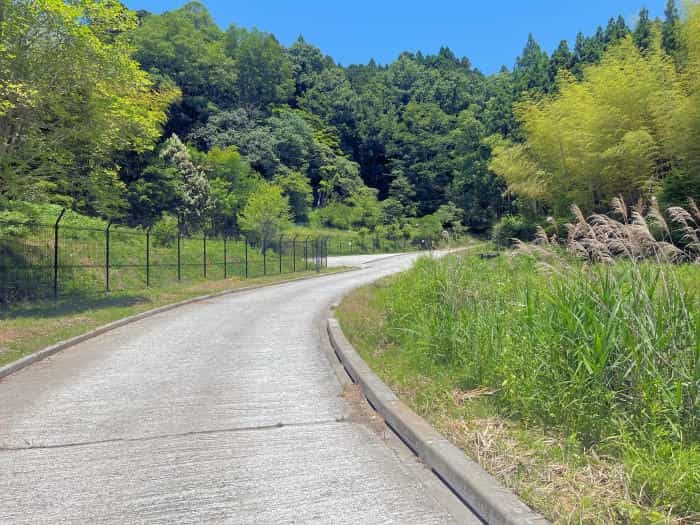 薬草と古い町並み、温泉もある奥大和の小京都・宇陀松山の魅力を紹介します