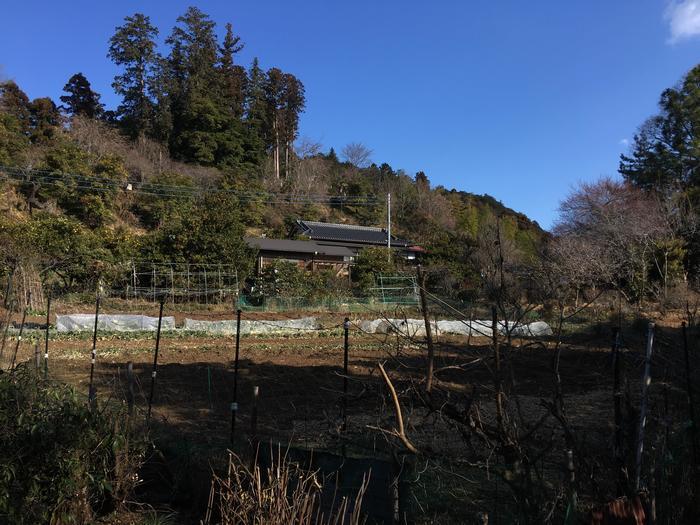 【埼玉・飯能】顔振(かあぶり)峠:義経伝説と渋沢平九郎の悲劇の舞台