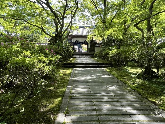中世に出逢える町・河内長野の魅力をたっぷり紹介します!