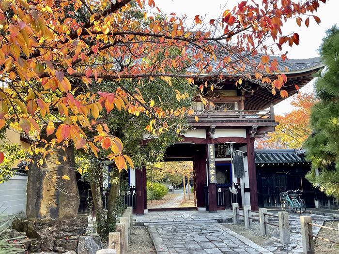 【京都】祈りの天井画と尊陽院の素敵な御主題