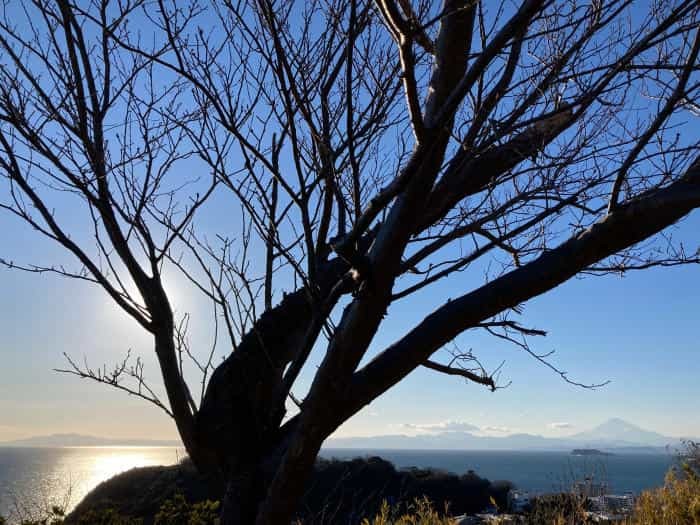 【逗子】披露山（ひろやま）公園で、ザ・湘南な絶景をどうぞ！